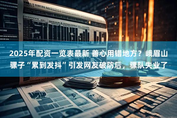 2025年配资一览表最新 善心用错地方？峨眉山骡子“累到发抖”引发网友破防后，骡队失业了